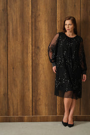 Payetli Piliseli Elbise Siyah